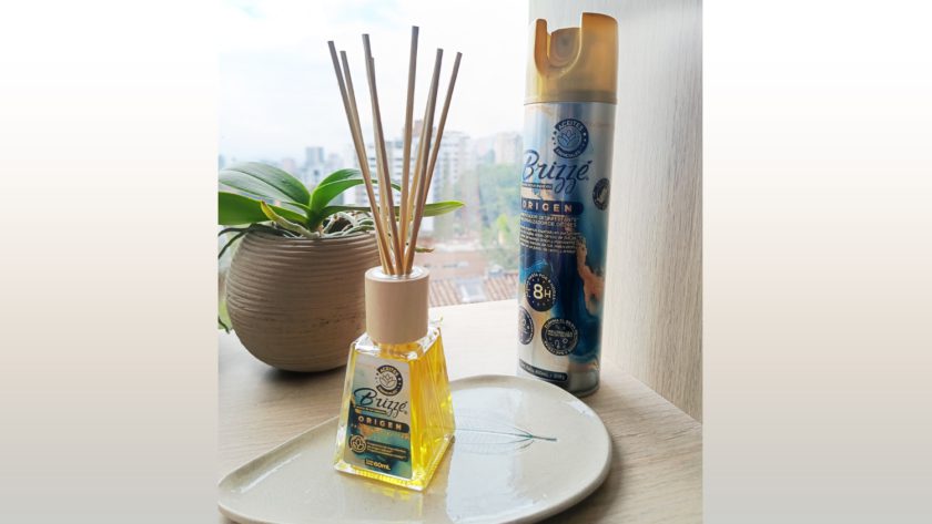 Portada Origen Brizzé