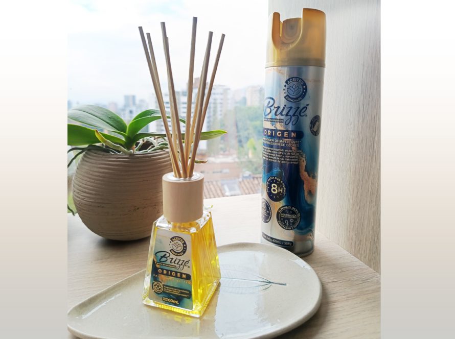 Portada Origen Brizzé