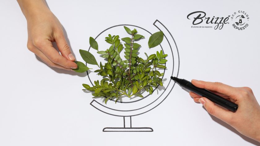 Portada Ahorro Brizzé