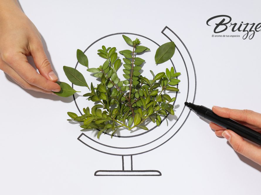 Portada Ahorro Brizzé