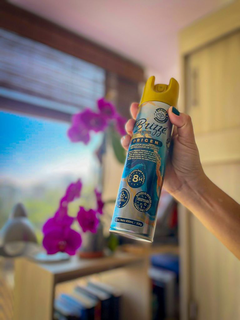 Aerosol Origen Brizzé